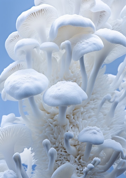 View of white and blue mushrooms