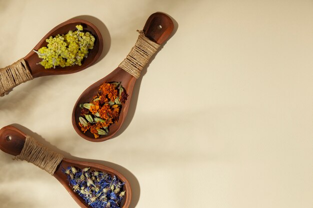 Above view wooden spoons with plants