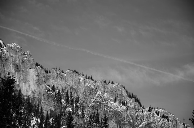 Foto gratuita vista della montagna in bianco e nero