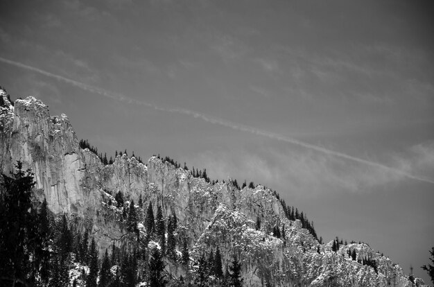 views of the mountain in black and white