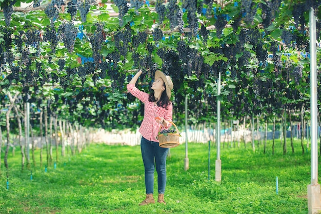 Vineyard farmers who smile and enjoy the harvest.