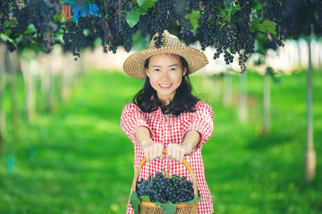 Виноградники-фермеры, которые улыбаются и наслаждаются урожаем.