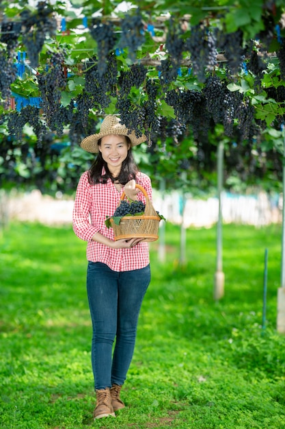 Foto gratuita agricoltori di vigneto che sorridono e si godono il raccolto.