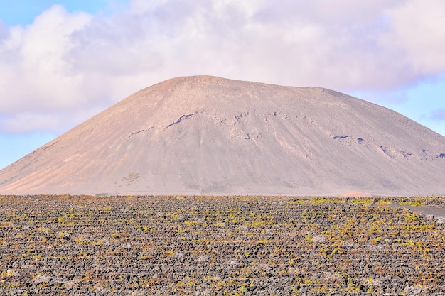 Vigneti a la geria lanzarote nelle isole canarie, spagna