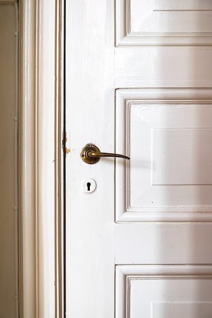 Vintage door with antique door handle