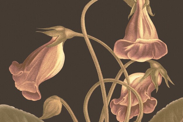 공개 도메인 작품에서 리믹스된 글록시니아 꽃 삽화가 있는 빈티지 꽃 배경