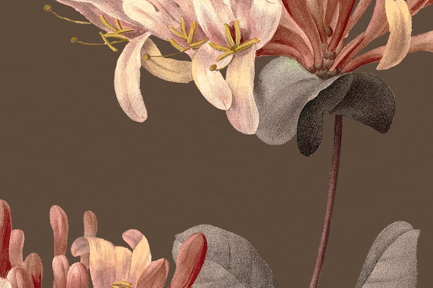인동덩굴 꽃 삽화가 있는 빈티지 꽃 배경, 공개 도메인 작품에서 리믹스