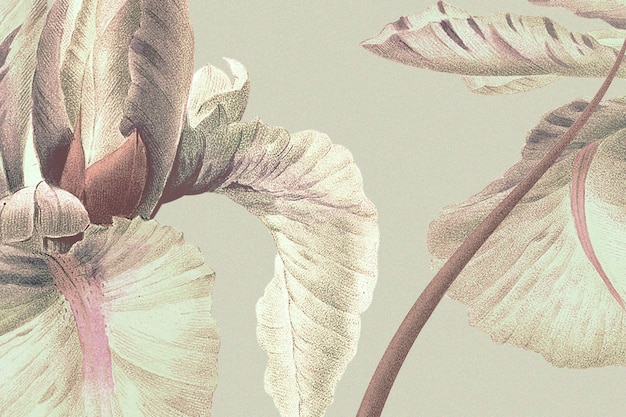 パブリックドメインのアートワークからリミックスされたアイリスの花のイラストとヴィンテージの花の背景