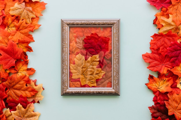 Vintage frame between autumn leaves