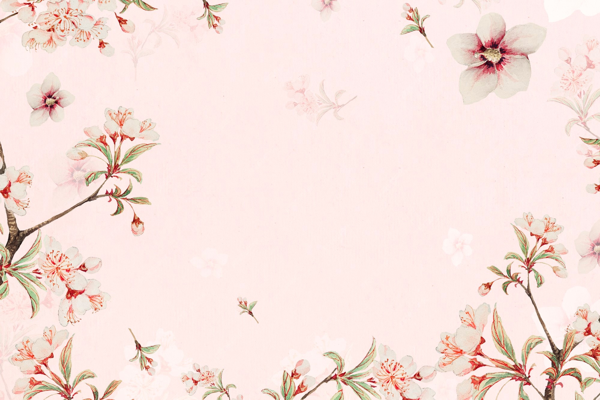 Flower 写真 993 000 高画質の無料ストックフォト Flower 写真 993 000 高画質の無料ストックフォト