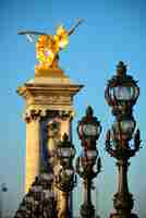 Free photo vintage lamp post on alexandre iii bridge in paris, france.