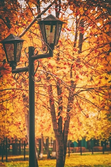 Старинный фонарь в городском парке на фоне осенних деревьев, тонированное изображение, выборочный фокус