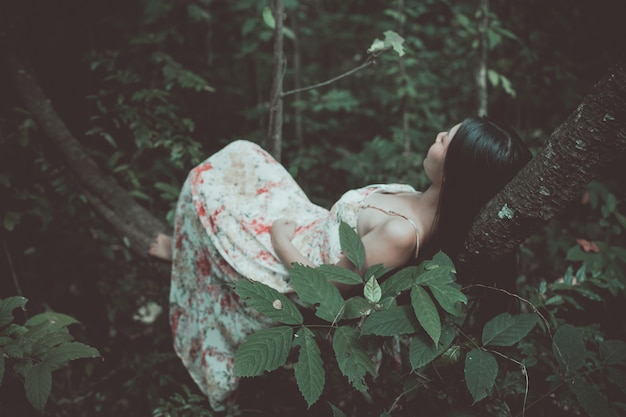 vintage picture of beautiful woman lay down on tree in the park