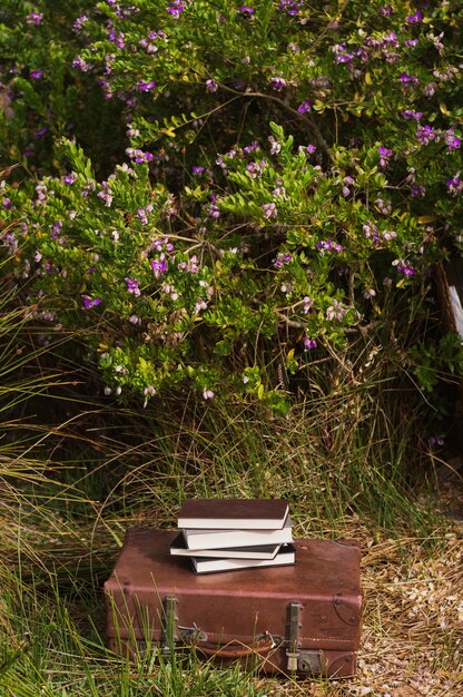 Vintage suitcase with books on top