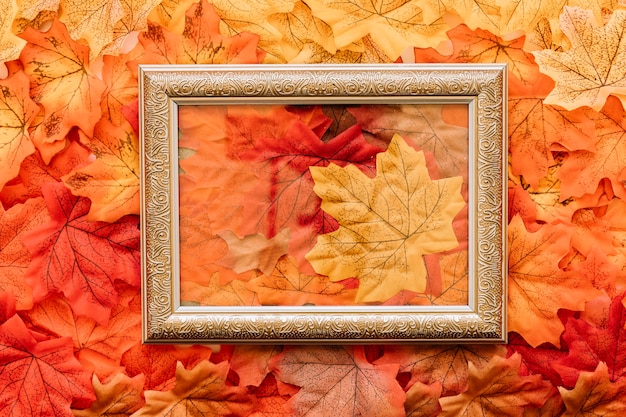 Free photo vintage transparent autumn frame