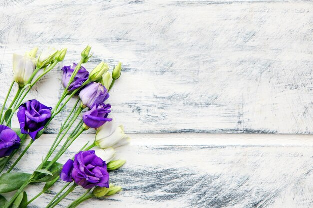 ピンクと紫の花 無料の写真