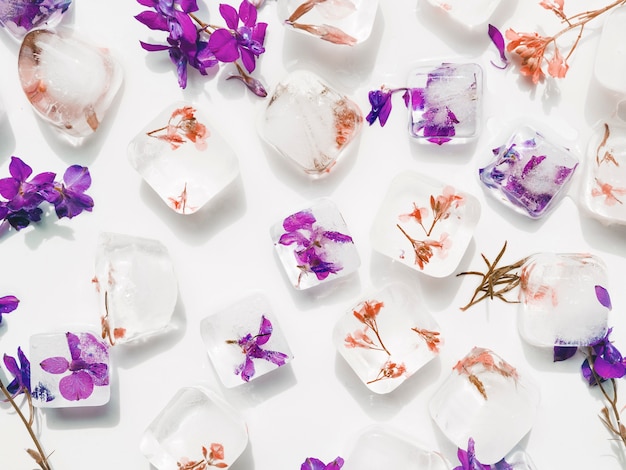 Violet and red flowers in ice cubes