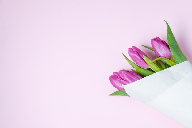 Фиолетовые тюльпаны на розовом фоне Весенняя концепция Вид сверху плоское пространство для копирования