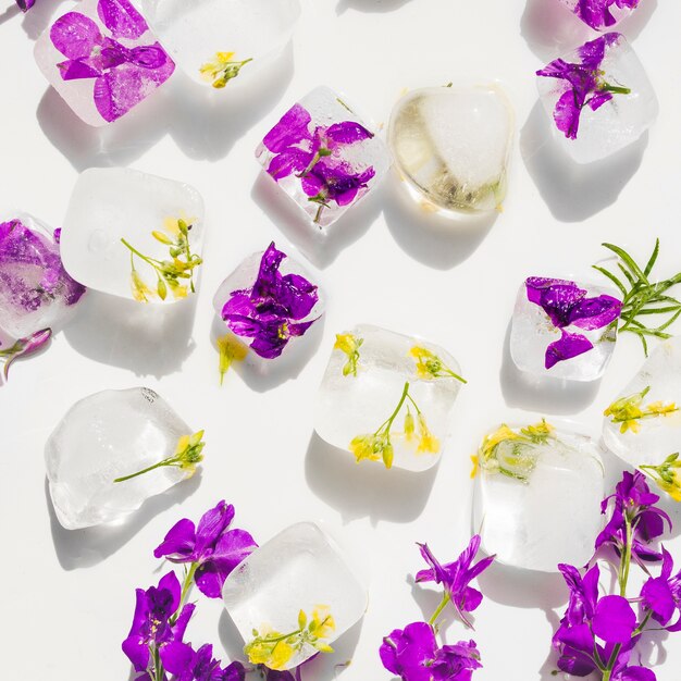 Violet and yellow flowers in ice cubes