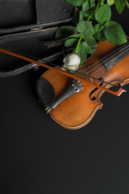 Violin and rose on black background