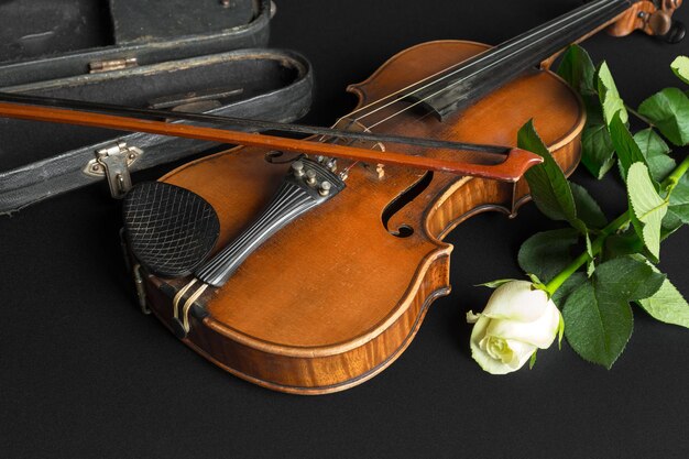 Violin and rose on black background.