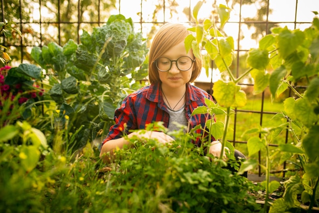 Free photo vitamins. happy brother and sister gathering apples in a garden outdoors together.