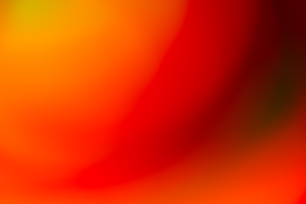 Free photo vivid blurred colorful wallpaper background