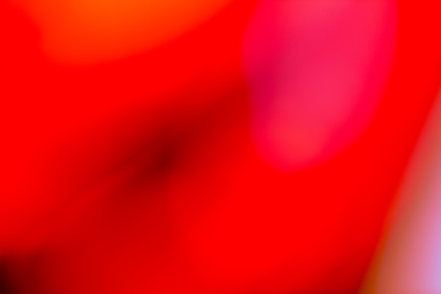 Free photo vivid blurred colorful wallpaper background