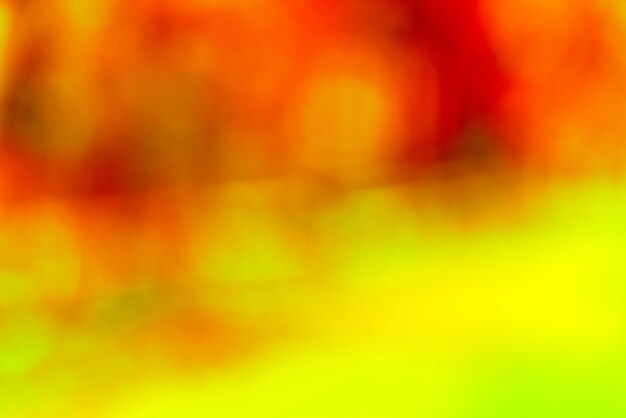 Free photo vivid blurred colorful wallpaper background