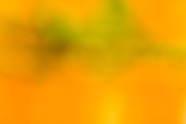 Vivid blurred colorful wallpaper background