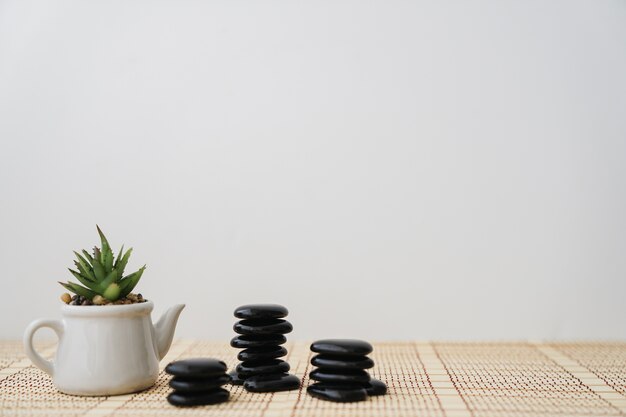 Volcanic stones and flower pot