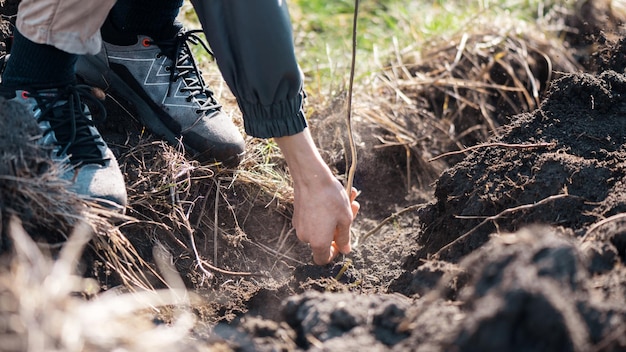 Volunteer planting trees in nature