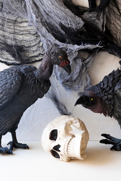 Vultures sitting near human skull