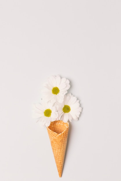 Waffle cone and chamomile heads