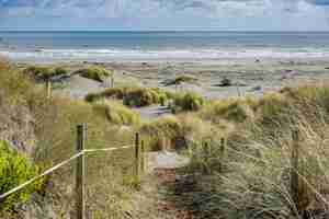 Free photo walking area in front of the waikawa  beach in new zealand