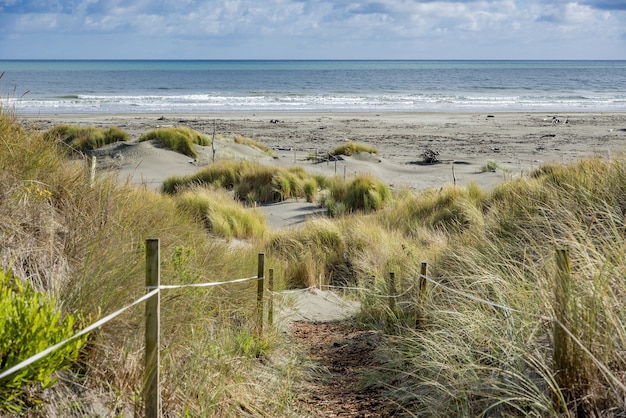 Walking area in front of the Waikawa  beach in New Zealand