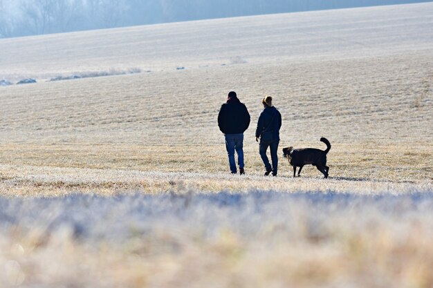 강아지를 산책시키다. 자연 속에서 아름 다운 겨울 계절 배경입니다.