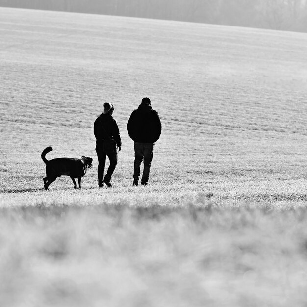 犬の散歩自然の中で美しい冬の季節の背景