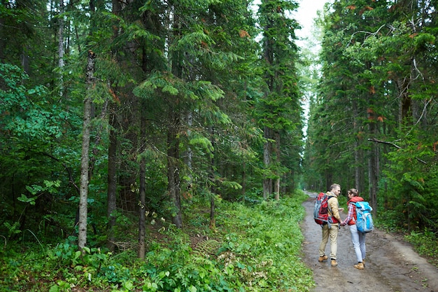 Foto gratuita camminare nella foresta