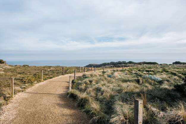 walkway and field