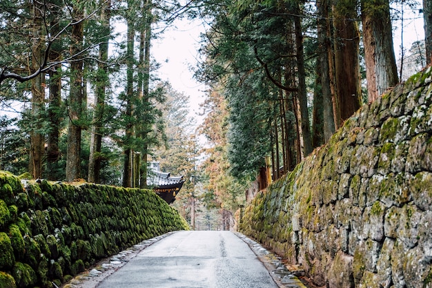 札幌狸小路周边，日本札幌狸小路