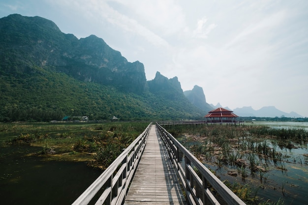 walkway in pool swamp with mountain landscape 