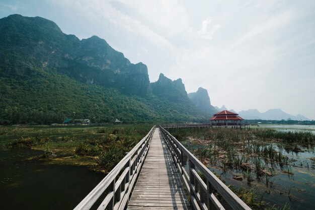 walkway in pool swamp with mountain landscape 