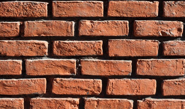 Wall made of bricks