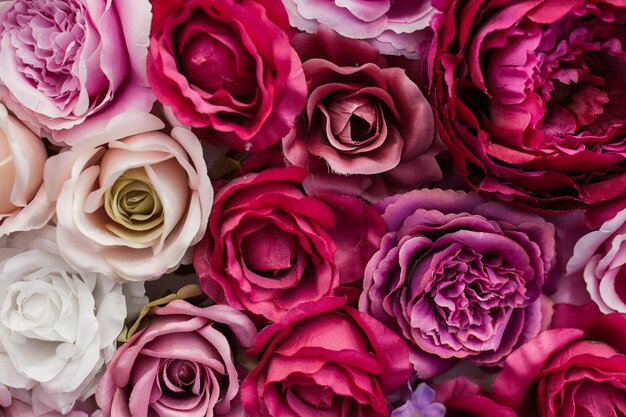 wall of pretty roses