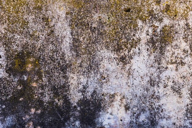 Бесплатное фото Текстура стенового камня