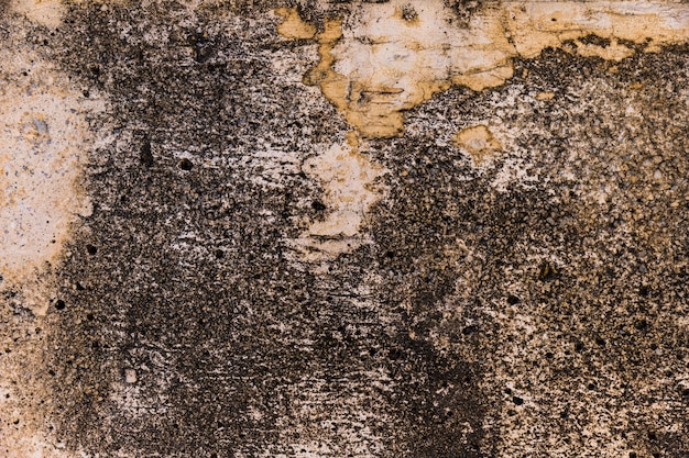 Wall stone texture