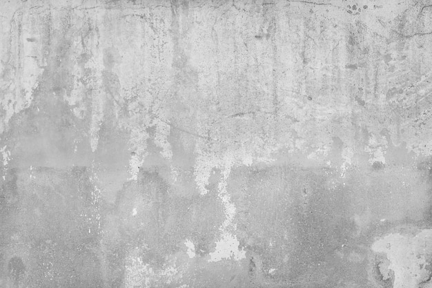 Wall texture with white spots
