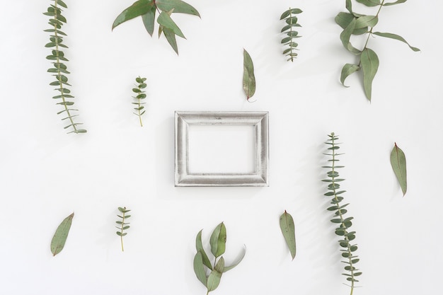 Wall with frame and green leaves