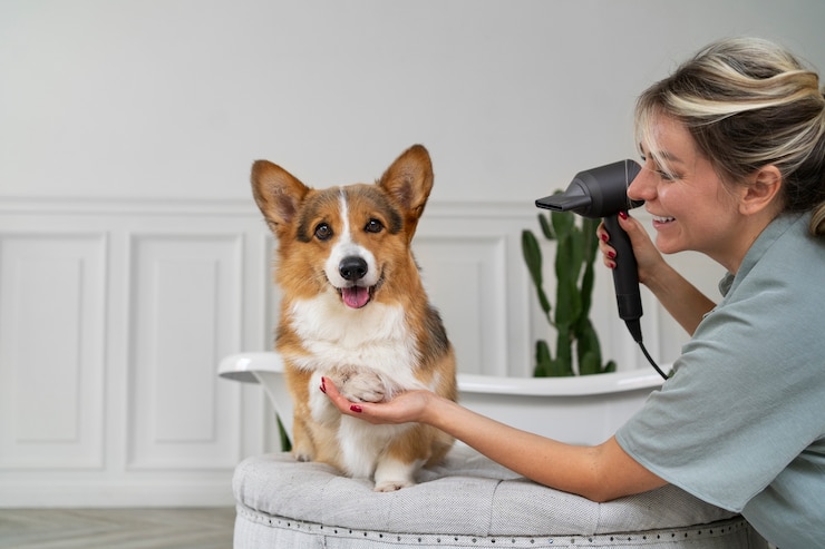 無料Photo 自宅で愛犬を洗う